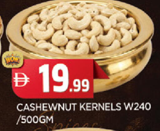available at المدينة in الإمارات العربية المتحدة , الامارات - الشارقة / عجمان