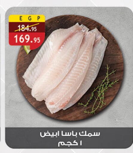 available at الرايه  ماركت in Egypt - القاهرة