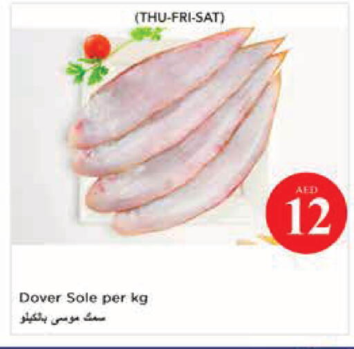 available at نستو هايبرماركت in الإمارات العربية المتحدة , الامارات - أبو ظبي