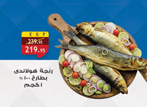 available at الرايه  ماركت in Egypt - القاهرة