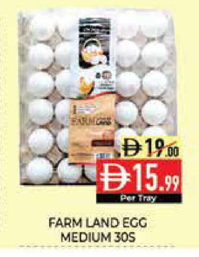 available at Delice Supermarket in UAE - Abu Dhabi