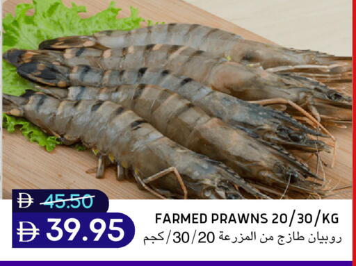 available at سيليكت ماركت in الإمارات العربية المتحدة , الامارات - أبو ظبي