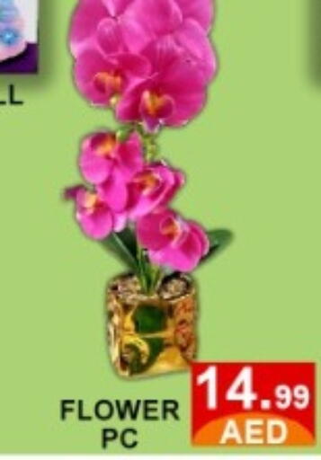 available at متجر الهدايا الخضراء in الإمارات العربية المتحدة , الامارات - أبو ظبي