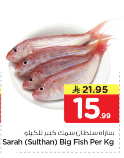 available at نستو in مملكة العربية السعودية, السعودية, سعودية - بريدة