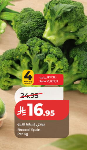 Broccoli from Spain available at لولو هايبرماركت in مملكة العربية السعودية, السعودية, سعودية - حفر الباطن