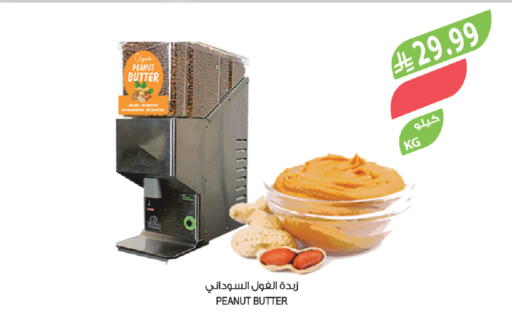 available at المزرعة in مملكة العربية السعودية, السعودية, سعودية - تبوك