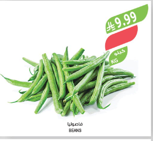 available at المزرعة in مملكة العربية السعودية, السعودية, سعودية - ينبع