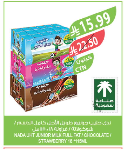 Strawberry available at Farm  in KSA, Saudi Arabia, Saudi - Najran