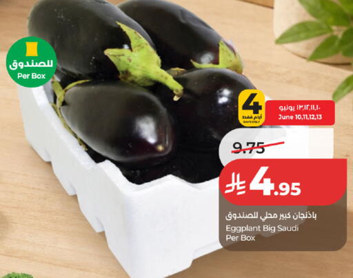 Eggplant from Saudi Arabia available at لولو هايبرماركت in مملكة العربية السعودية, السعودية, سعودية - حفر الباطن