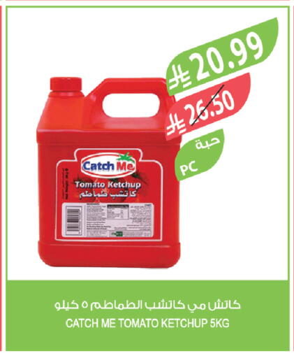 Tomato available at المزرعة in مملكة العربية السعودية, السعودية, سعودية - الرياض