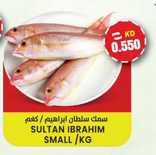 available at  سابساه هايبر ماركت in الكويت - مدينة الكويت