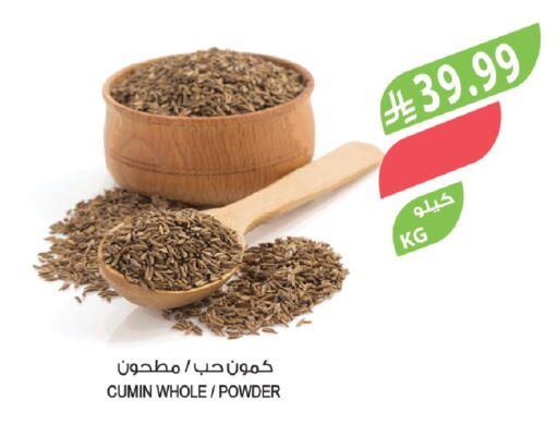 Cumin available at المزرعة in مملكة العربية السعودية, السعودية, سعودية - ينبع