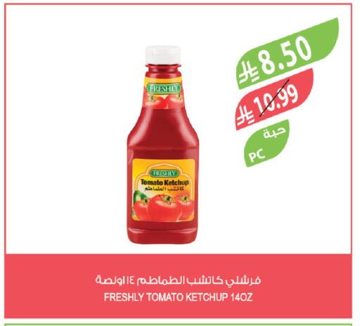 Tomato available at Farm  in KSA, Saudi Arabia, Saudi - Qatif