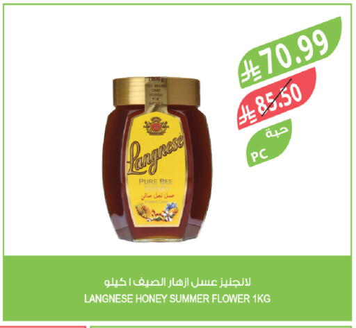 available at المزرعة in مملكة العربية السعودية, السعودية, سعودية - نجران