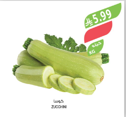 Zucchini available at المزرعة in مملكة العربية السعودية, السعودية, سعودية - الرياض
