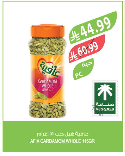 Cardamom available at Farm  in KSA, Saudi Arabia, Saudi - Najran