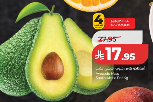 Avocado from South Africa available at لولو هايبرماركت in مملكة العربية السعودية, السعودية, سعودية - عنيزة