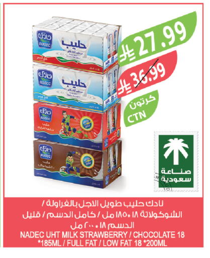 Strawberry available at Farm  in KSA, Saudi Arabia, Saudi - Najran