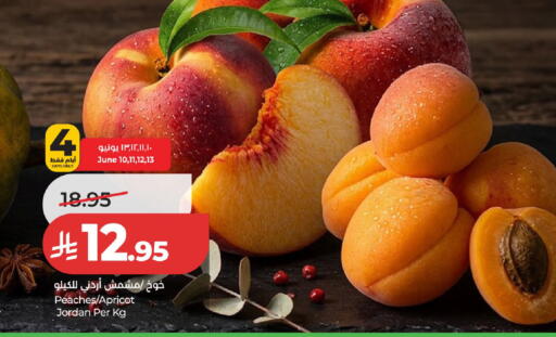 Apricot from Jordan available at لولو هايبرماركت in مملكة العربية السعودية, السعودية, سعودية - عنيزة