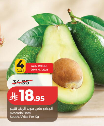 Avocado from South Africa available at لولو هايبرماركت in مملكة العربية السعودية, السعودية, سعودية - حفر الباطن