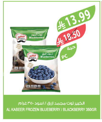 Blueberry BlueBerry Blackberry available at المزرعة in مملكة العربية السعودية, السعودية, سعودية - سيهات