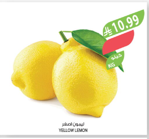 Lemon available at المزرعة in مملكة العربية السعودية, السعودية, سعودية - ينبع