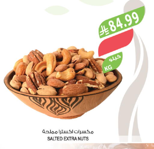 available at المزرعة in مملكة العربية السعودية, السعودية, سعودية - ينبع