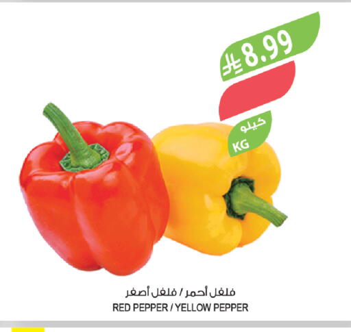 Pepper available at المزرعة in مملكة العربية السعودية, السعودية, سعودية - الرياض