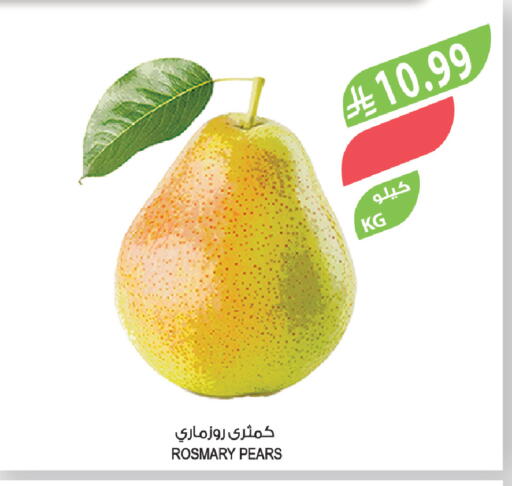 available at المزرعة in مملكة العربية السعودية, السعودية, سعودية - ينبع
