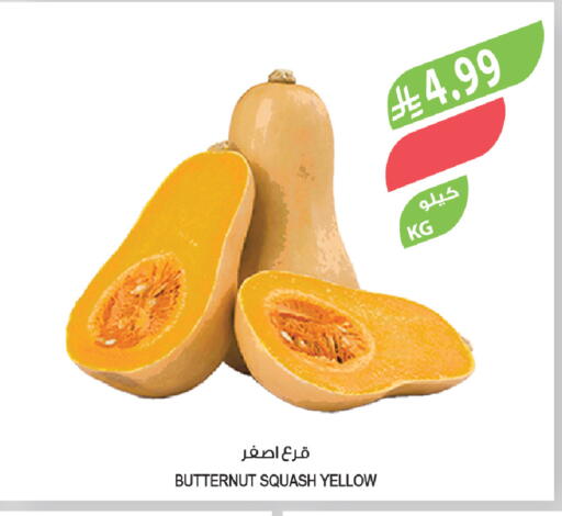 Squash available at المزرعة in مملكة العربية السعودية, السعودية, سعودية - ينبع