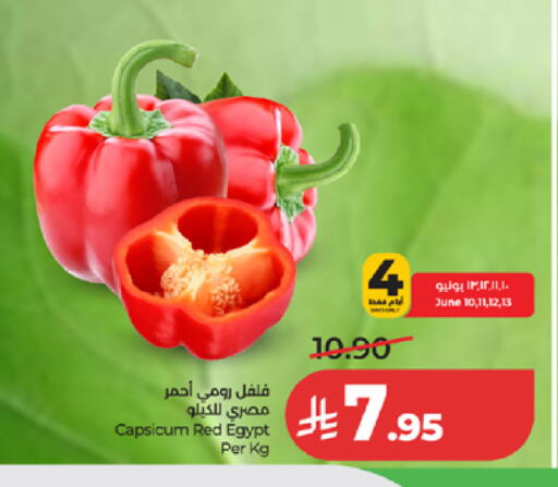 Capsicum from Egypt available at لولو هايبرماركت in مملكة العربية السعودية, السعودية, سعودية - جدة