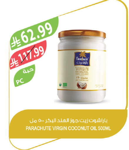 Coconut available at المزرعة in مملكة العربية السعودية, السعودية, سعودية - الرياض