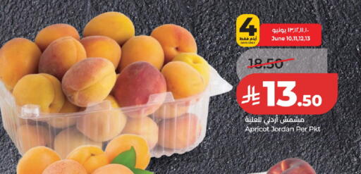 Apricot from Jordan available at لولو هايبرماركت in مملكة العربية السعودية, السعودية, سعودية - الخرج