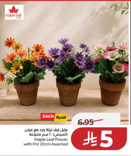 available at LULU Hypermarket in KSA, Saudi Arabia, Saudi - Unayzah
