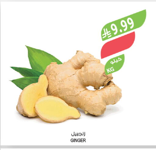 Ginger available at المزرعة in مملكة العربية السعودية, السعودية, سعودية - ينبع