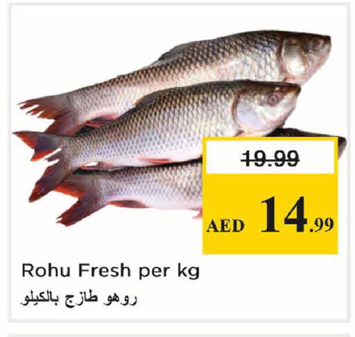 available at Nesto Hypermarket in UAE - Abu Dhabi