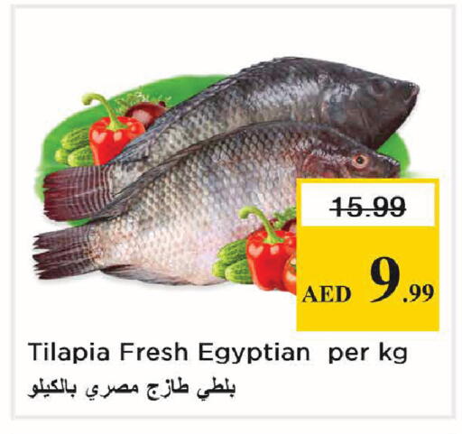 available at Nesto Hypermarket in UAE - Abu Dhabi