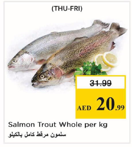 available at Nesto Hypermarket in UAE - Abu Dhabi