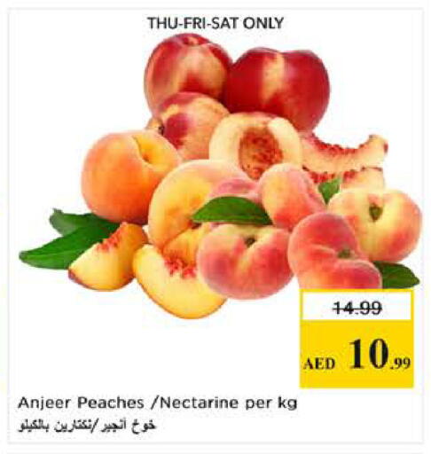 available at Last Chance  in UAE - Fujairah
