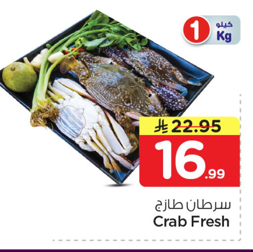 available at نستو in مملكة العربية السعودية, السعودية, سعودية - الخرج