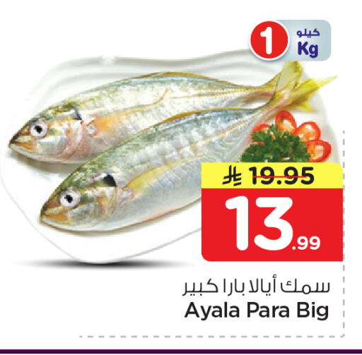 available at نستو in مملكة العربية السعودية, السعودية, سعودية - الخرج
