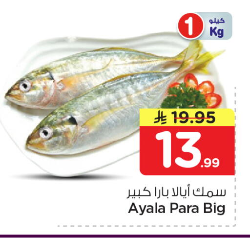 available at نستو in مملكة العربية السعودية, السعودية, سعودية - الرياض