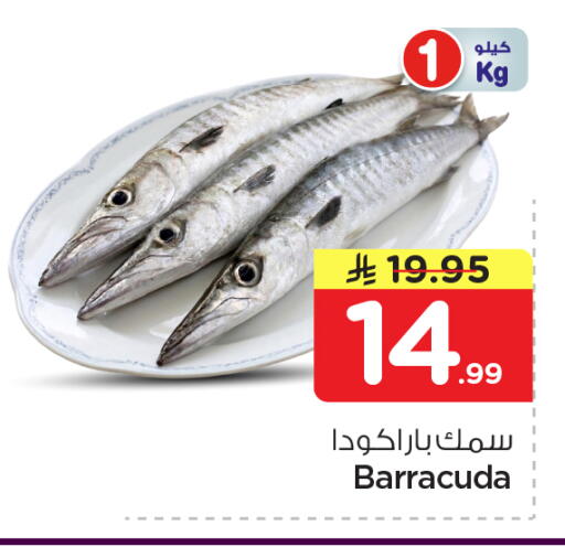 available at نستو in مملكة العربية السعودية, السعودية, سعودية - الخرج