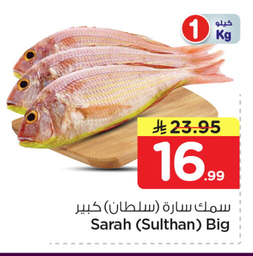 available at نستو in مملكة العربية السعودية, السعودية, سعودية - الرياض