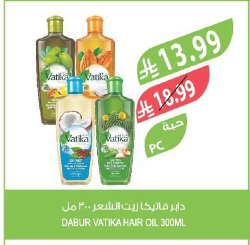 Coconut available at Farm  in KSA, Saudi Arabia, Saudi - Al-Kharj