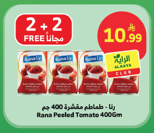 Tomato available at الراية in مملكة العربية السعودية, السعودية, سعودية - المدينة المنورة