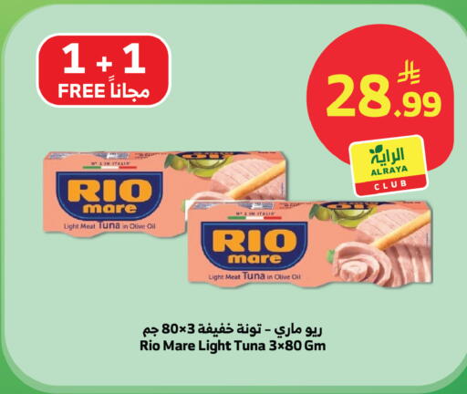 available at الراية in مملكة العربية السعودية, السعودية, سعودية - المدينة المنورة