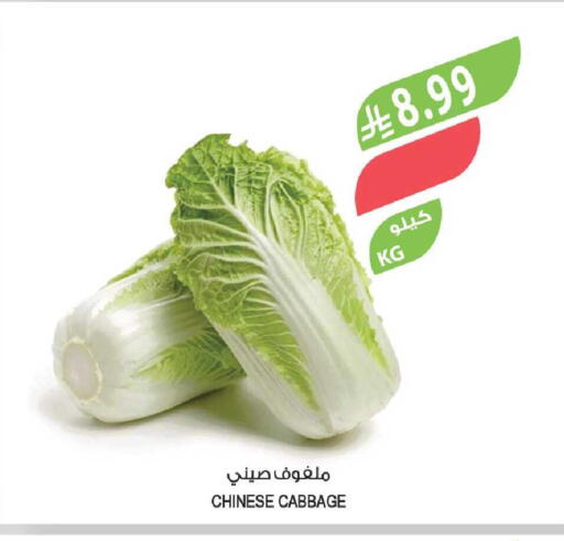 Cabbage from China available at المزرعة in مملكة العربية السعودية, السعودية, سعودية - نجران