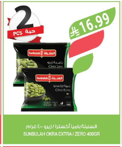 Okra available at Farm  in KSA, Saudi Arabia, Saudi - Tabuk