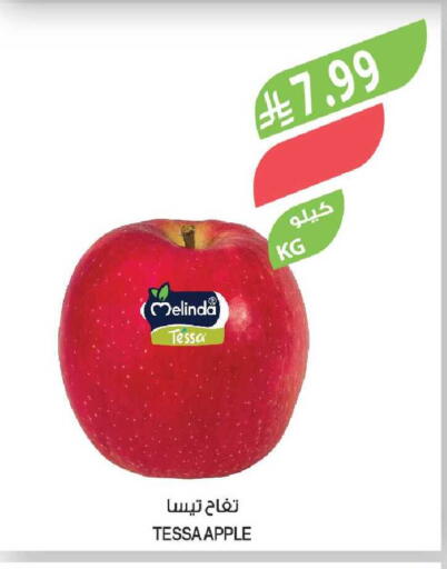 Apple available at Farm  in KSA, Saudi Arabia, Saudi - Al-Kharj